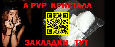 стаф Кунгур