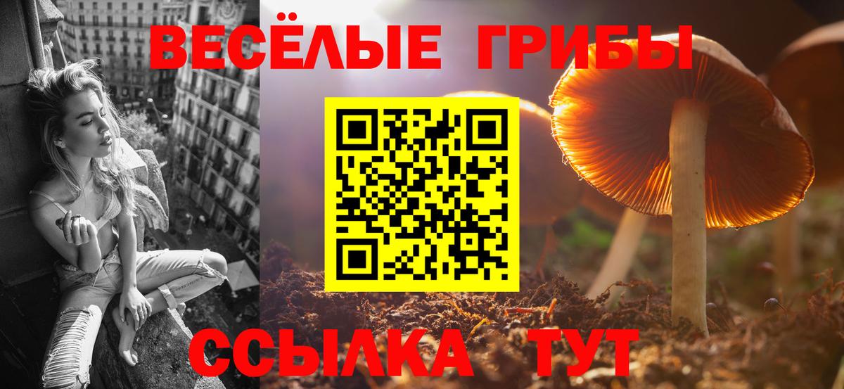 Псилоцибиновые грибы мухоморы  Вход с VPN  Горно-Алтайск 